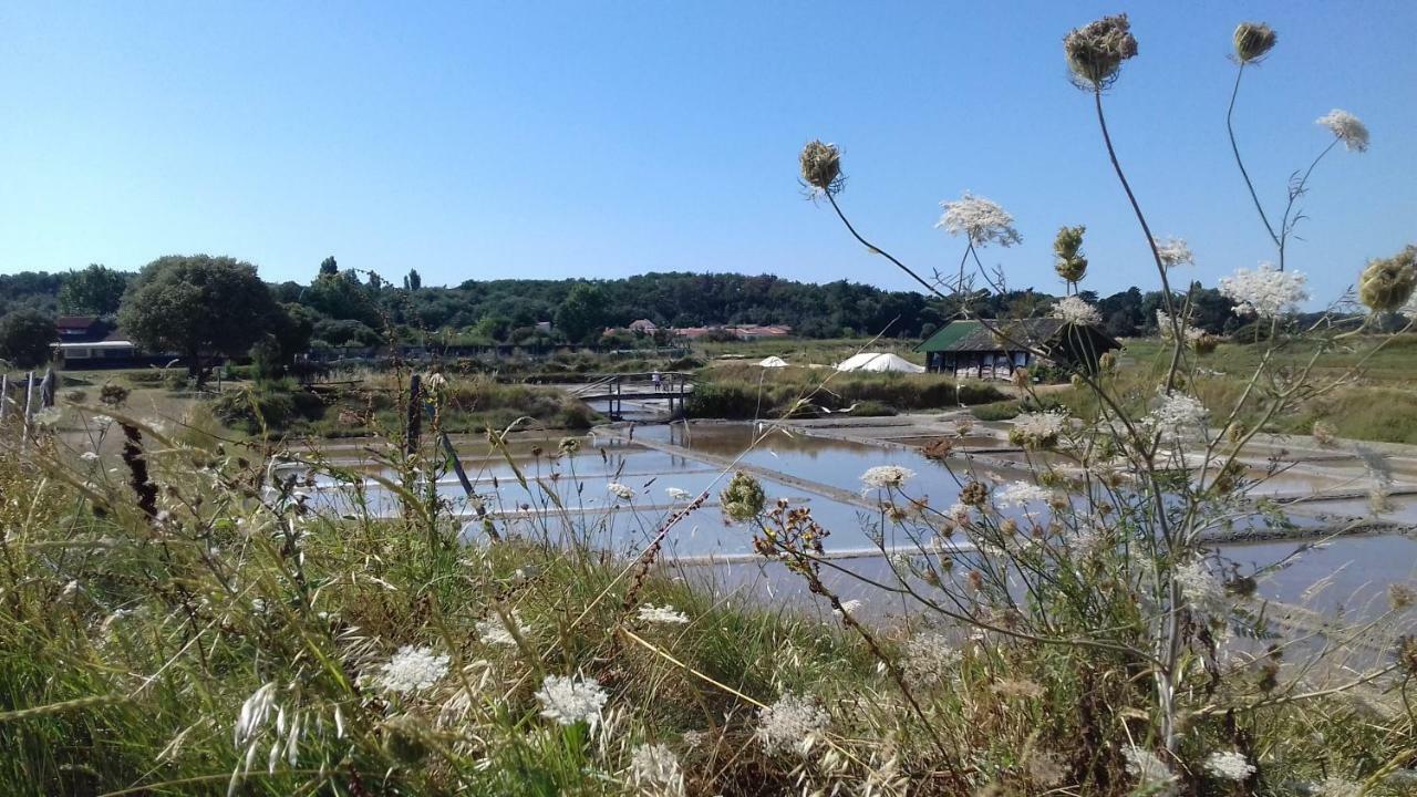 Ferienwohnung La Chaumette Les Sables-dʼOlonne Exterior foto